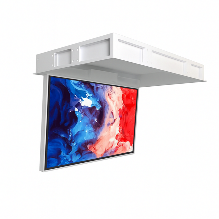 Ceiling Lift – Door