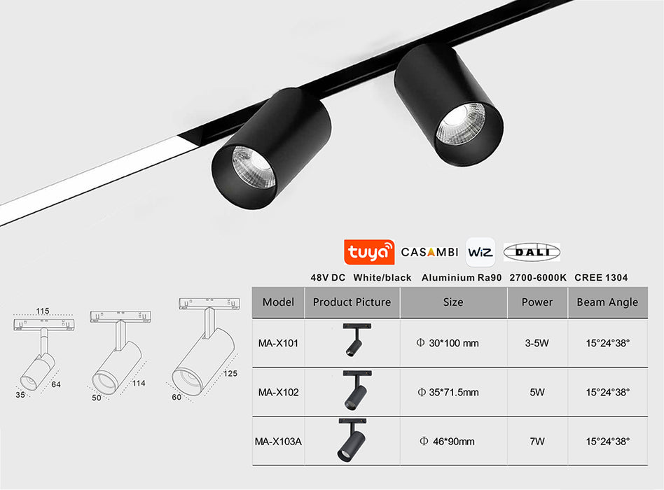 Magnetic Rail Ceiling System