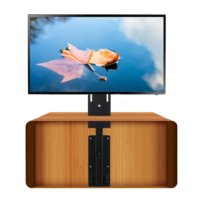 Motorized TV Lift