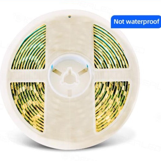 LED Motion Sensor Light