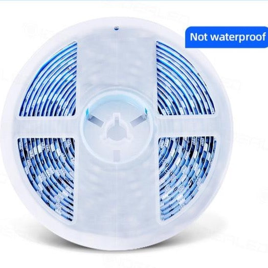 LED Motion Sensor Light