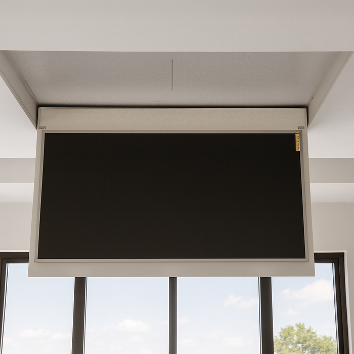 Ceiling Lift – Door